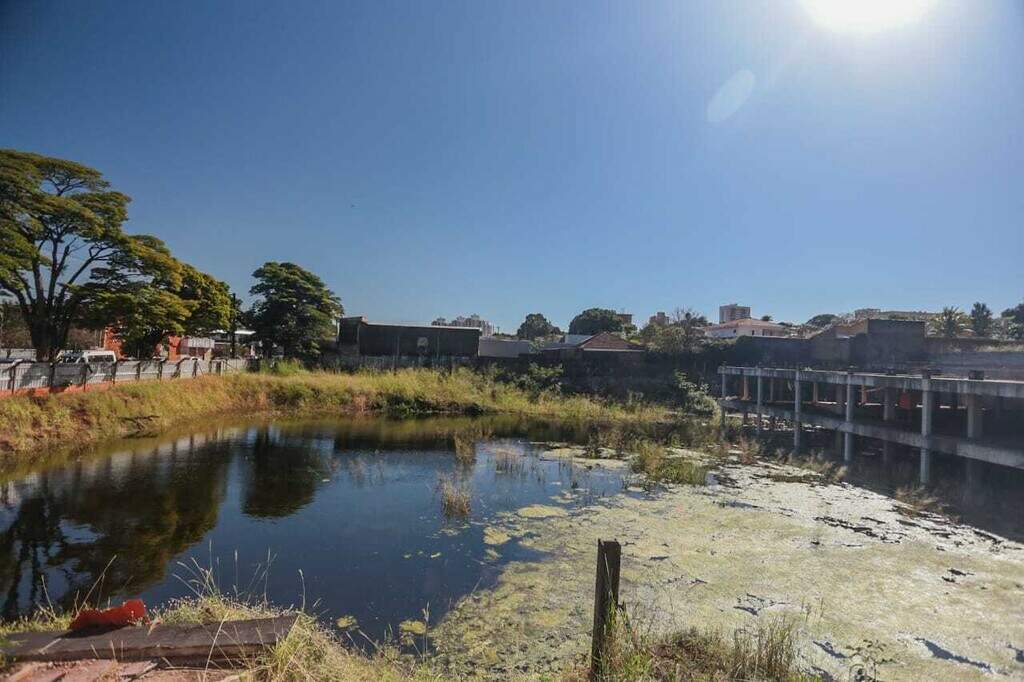 Em época de epidemia de dengue lagoa em terreno preocupa moradores do