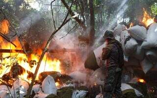 Agente da Senad acompanha destruição fardos de maconha em operação encerrada hoje (Foto: Divulgação)