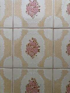 Detalhes do azulejo que Alzemiro usou para revetir o banheiro. (Foto: Jéssica Fernandes)