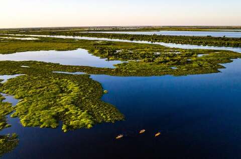 Pantanal segue como bioma com menos espécies ameaçadas