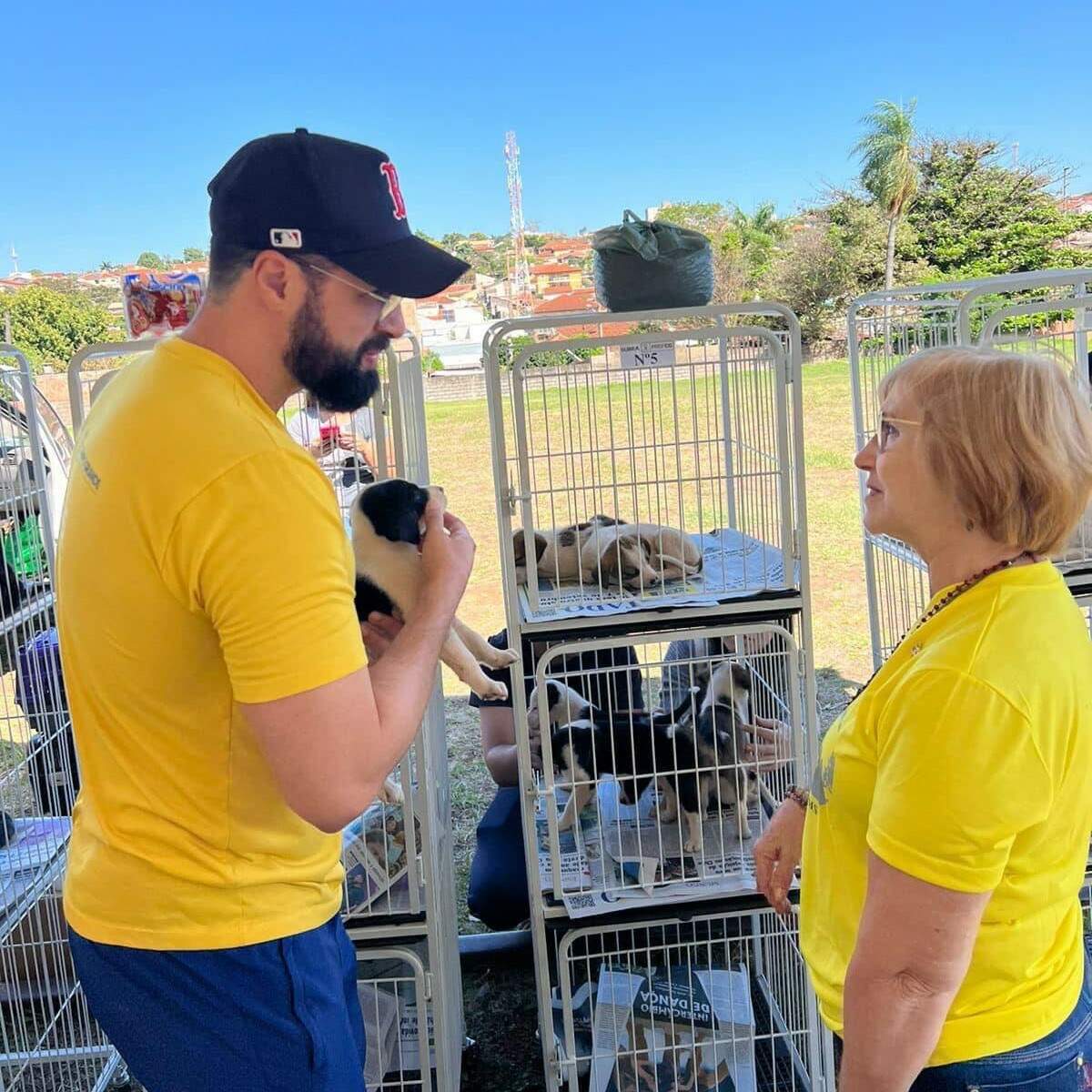 Com 70 cães e gatos, feira de adoção ocorre sábado em Campo Grande
