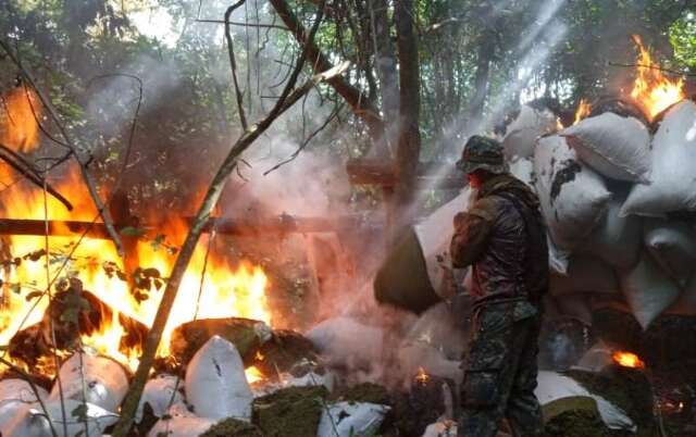 Ag&ecirc;ncia encerra opera&ccedil;&atilde;o com destrui&ccedil;&atilde;o de 109 toneladas de maconha