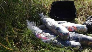 Mala onde tronco da vítima foi encontrado e sacos com retalhos. (Foto: Divulgação) | PCMS)