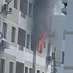 Incêndio destrói apartamento na Marques de Pombal, mas cachorro é salvo 