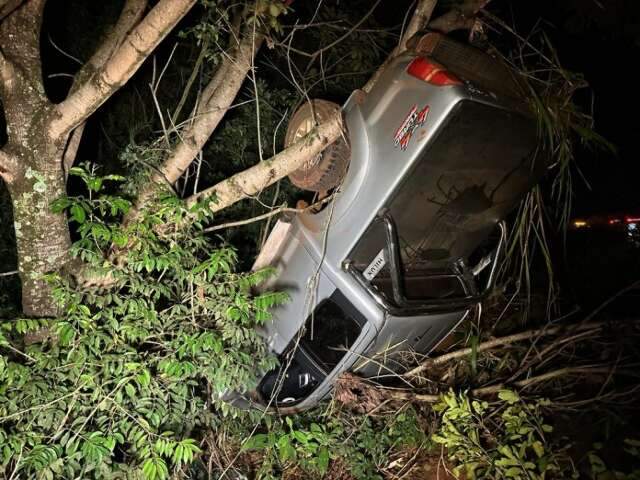 Camionete capota e vai parar fora da rodovia em mais um atropelamento de anta