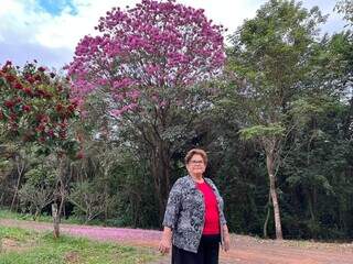 Apaixonada por ipês, dona Eny posa junto da árvore plantada há 12 anos. (Foto: arquivo pessoal)