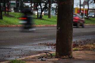 Pedaços da moto próximos a poste onde vítima caiu. (Foto: Henrique Kawaminami)