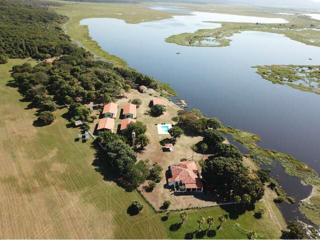 Cr&eacute;ditos de carbono t&ecirc;m meta de reduzir em 90% desmatamento no Pantanal