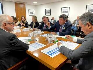 Membros do governo em reunião com representantes do Governo Federal (Foto: Divulgação/Governo MS)