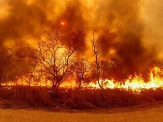 Consumido pelo fogo, 30% do Pantanal foi destruído em 2020. (Foto: Divulgação Corpo de Bombeiros)