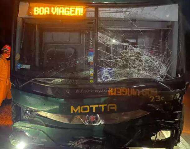 &Ocirc;nibus com passageiros atropela e mata 3 b&uacute;falos na BR-163 