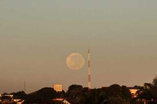 Lua chama atenção nesta manhã em Campo Grande (Foto: Henrique Kawaminami)