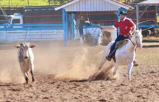 Bovino sendo laçado em etapa do circuito de laço comprido (Foto: Divulgação/Fundesporte)