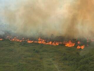 Em 2020, o descontrole no fogo causou uma tragédia ambiental. (Fotos: Ibama)