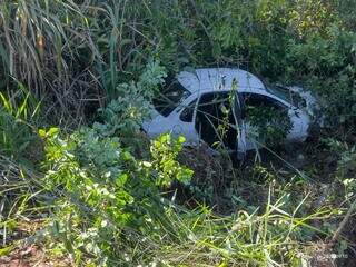 Motorista arrebenta cerca em curva e cai na Reserva Anhandu&iacute;