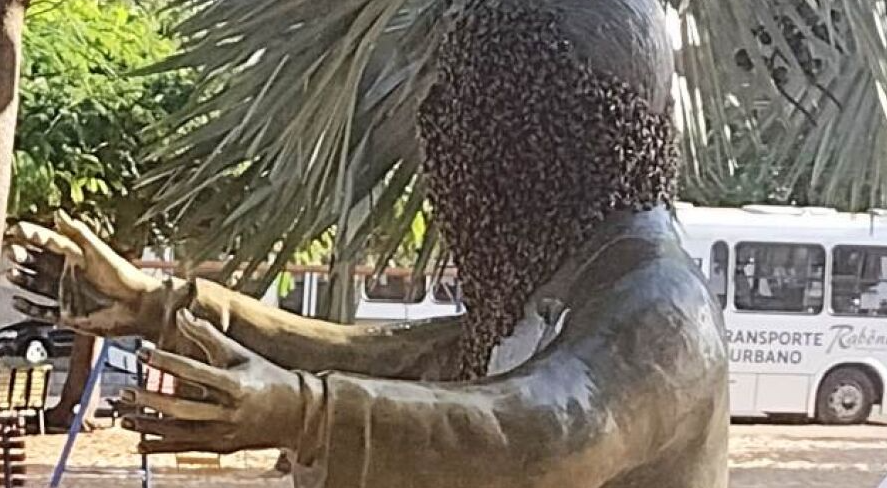Rosto da estátua que leva o nome de Ramez Tebet é tomado por abelhas em praça 