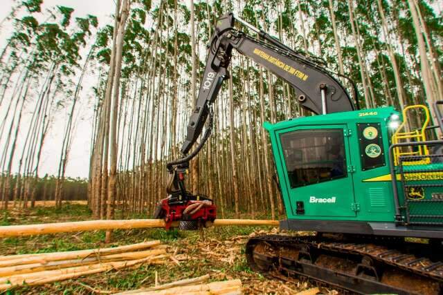 Empresa de celulose abre 60 vagas para operadores de m&aacute;quinas de colheita 