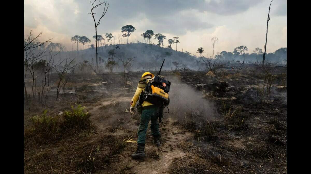 Incêndio atinge oficina e destrói 15 veículos no Distrito Federal