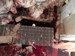Câmara fria com sangue e papelão sujo perto de pacotes de carne e frango (Foto: Direto das Ruas)