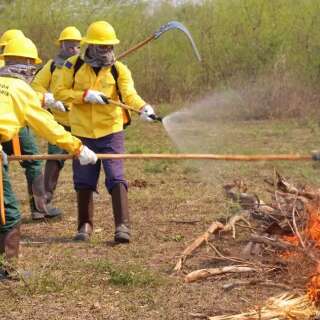 Pantanal concentra 43 focos de incêndios registrados no Brasil, 29 em MS
