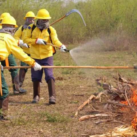 Pantanal concentra 43 focos de inc&ecirc;ndios registrados no Brasil, 29 em MS