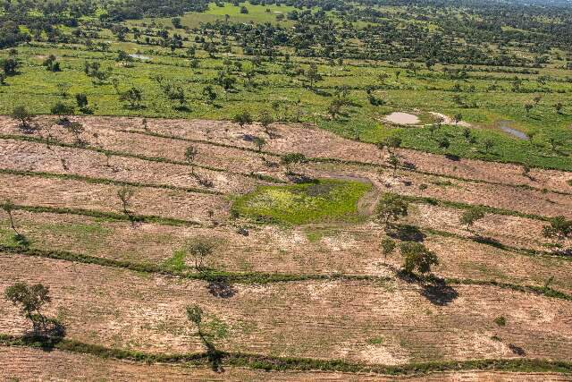 Mato Grosso do Sul teve redu&ccedil;&atilde;o de 12% na &aacute;rea desmatada em 2022