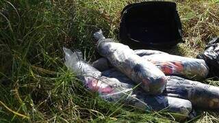 Mala onde tronco da vítima foi encontrado e sacos com retalhos. (Foto: Divulgação PCMS)