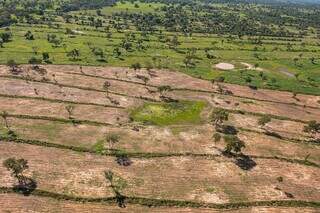 Área desmatada no Pantanal sul-mato-grossense (Foto: Arquivo/Campo Grande News)