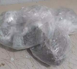 Pacotes de skunk encontrados na mochila de Felipe. (Foto: Divulgação | BPChoque)