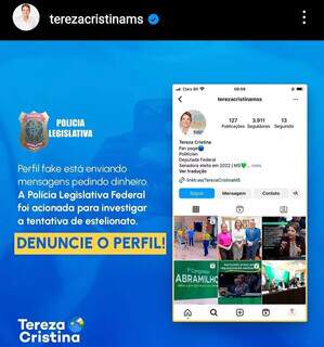 Denúncia feita no Instagram da senadora Tereza Cristina (PP) (Foto: Divulgação)