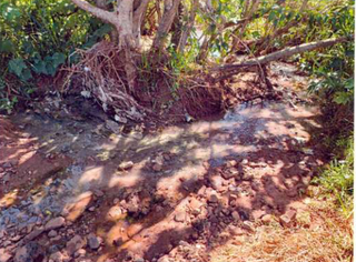 Extravasamento de efluente na Indianápolis com Rua das Dálias no ano de 2021. (Foto: Reprodução)