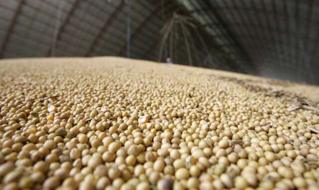 Safra de grãos em MS cresce 19% e supera as 26 milhões de toneladas