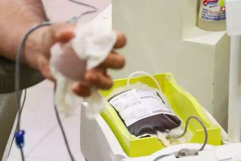 Com qual frequência você doa sangue no ano? Participe da enquete