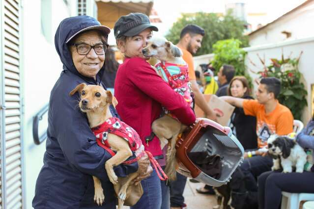 Prefeitura oferece consulta veterin&aacute;ria gr&aacute;tis para c&atilde;es e gatos gripados