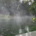 Rio fantasma: inversão térmica cria fumaça sobre Nascente Azul em Bonito