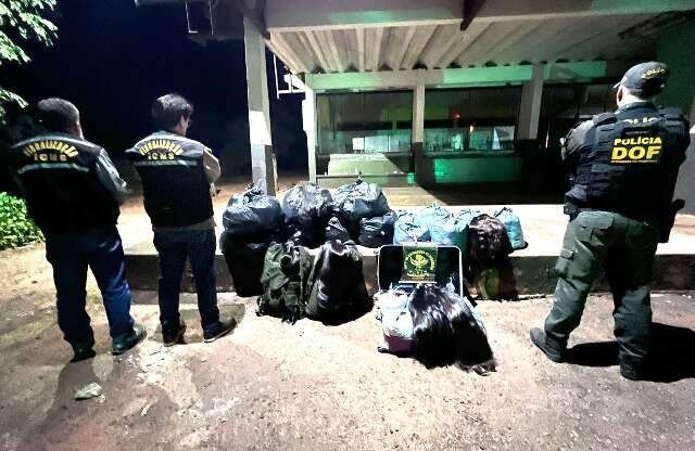 Pol&iacute;cia apreende 428 kg de cabelo humano avaliados em R$ 1 milh&atilde;o