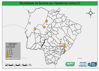 Frente fria causou a morte de quase 3 mil cabe&ccedil;as de gado em MS