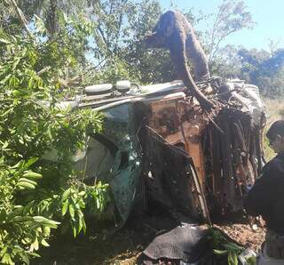 Carreta fica destru&iacute;da ao capotar em &aacute;rea de vegeta&ccedil;&atilde;o &agrave;s margens da BR-262