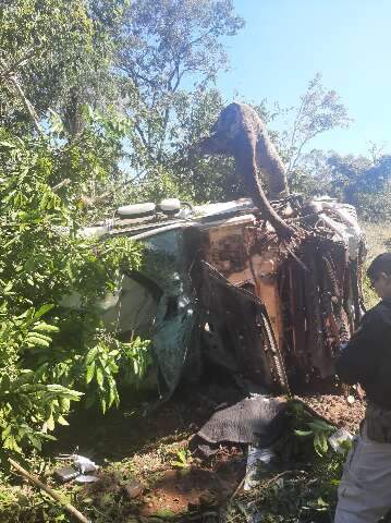 Carreta fica destru&iacute;da ao capotar em &aacute;rea de vegeta&ccedil;&atilde;o &agrave;s margens da BR-262