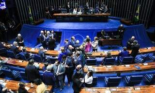 Representantes do Senado gesticulam após votação em plenário. (Foto: Lula Marques/Agência Brasil)