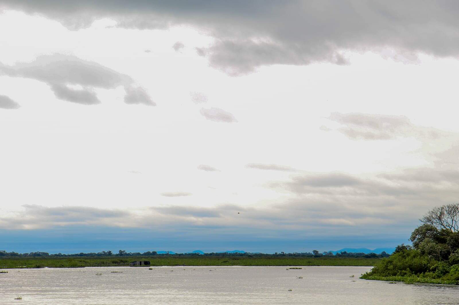 Pantanal é o bioma com o 2º menor estoque médio de carbono no solo