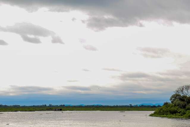 Pantanal &eacute; o bioma com o 2&ordm; menor estoque m&eacute;dio de carbono no solo