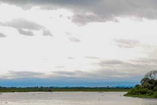 Bioma pantaneiro em Corumbá, Mato Grosso do Sul (Foto: Juliano Almeida)