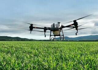 Drone agrícola sobrevoa área de plantação; ferramenta tem sido cada vez mais usada em manejos como controle de pragas e até no plantio. (Foto: Divulgação)