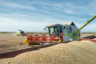 Mato Grosso registra novo recorde para a safra de soja, com produção estimada em 45,6 milhões de toneladas (Foto: Divulgação/Mapa)