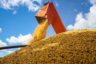 Colheita de soja em Mato Grosso do Sul (Foto: Arquivo/Campo Grande News)