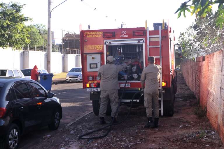 Dois militares do Corpo de Bombeiros participaram da ação (Foto: Paulo Francis).