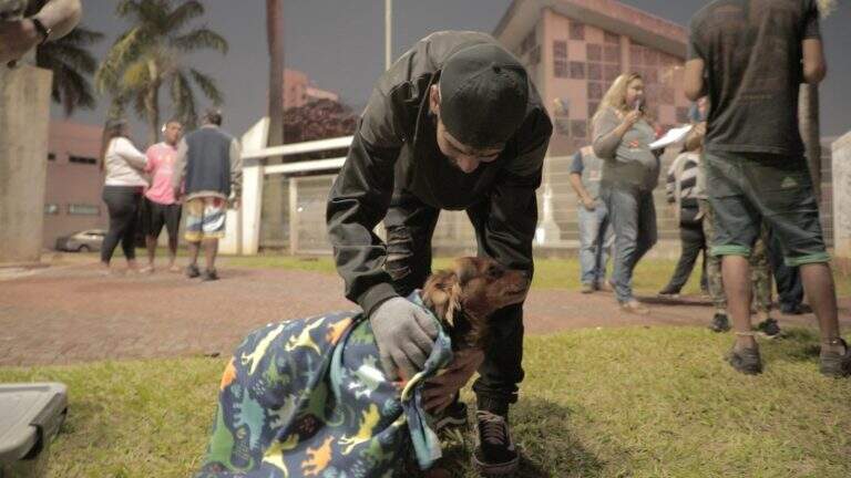 Prefeitura doa mantas para animais resgatados em Campo Grande