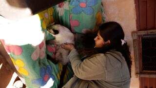 A protetora Alice Nunes e um dos gatos resgatados (Foto: Divulgação/Prefeitura de Campo Grande)