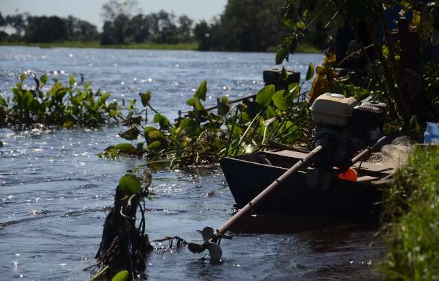 Maior em cinco anos, n&iacute;vel do Rio Paraguai ultrapassa 4 metros